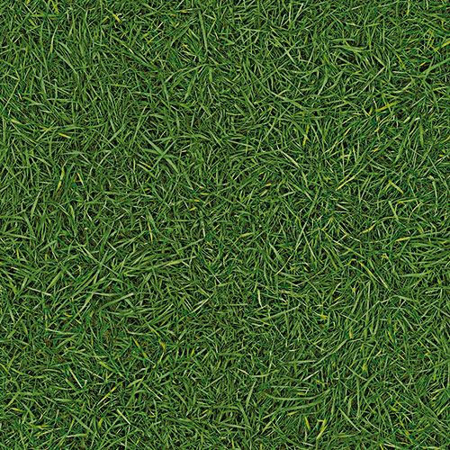 Линолеум бытовой "IVC" Bingo Grass 25 (3м) — купить в Нефтеюганске