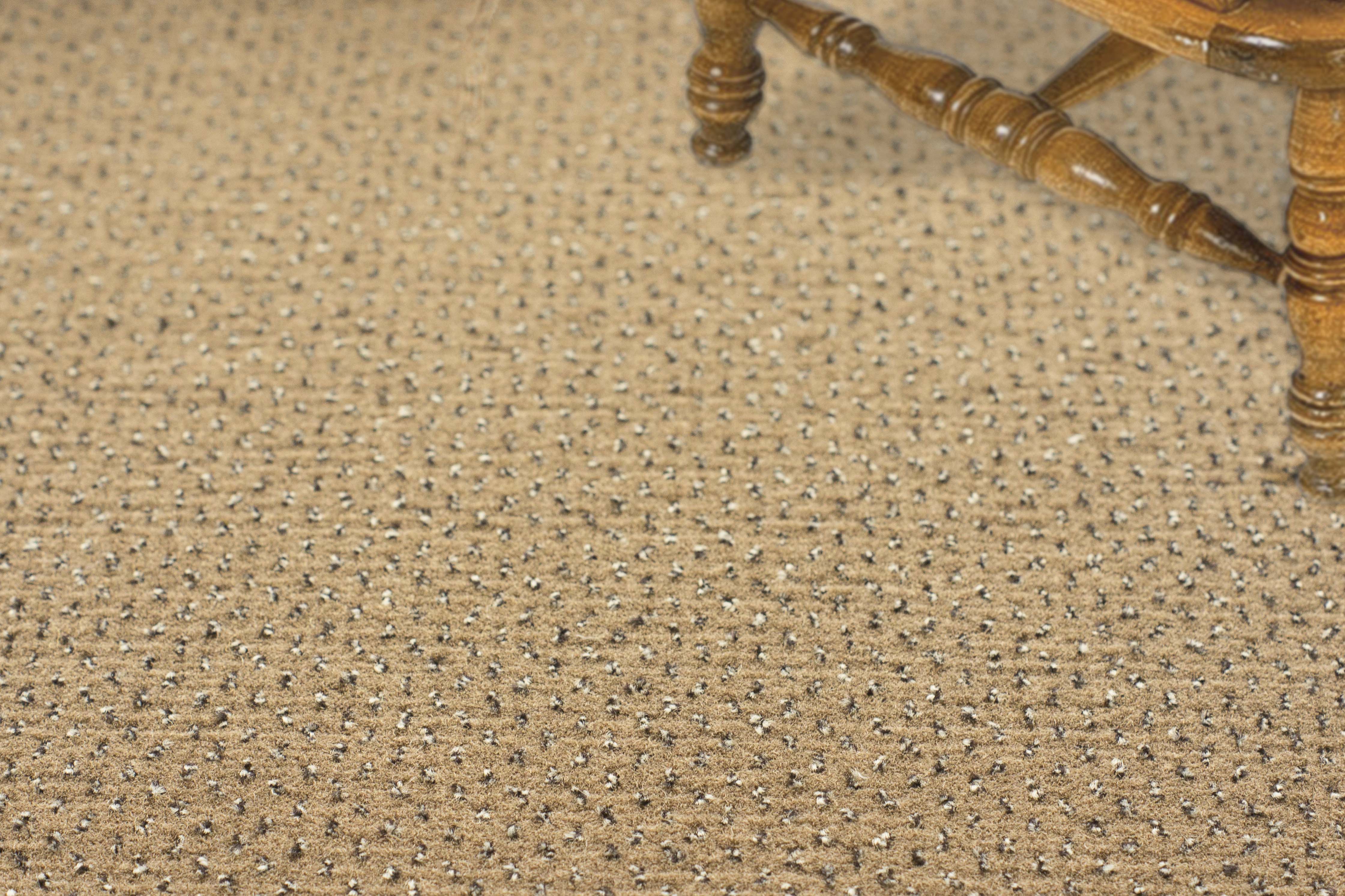 Ковролин "Зартекс" Eternity 142 бежевый (4м) — купить в Нефтеюганске